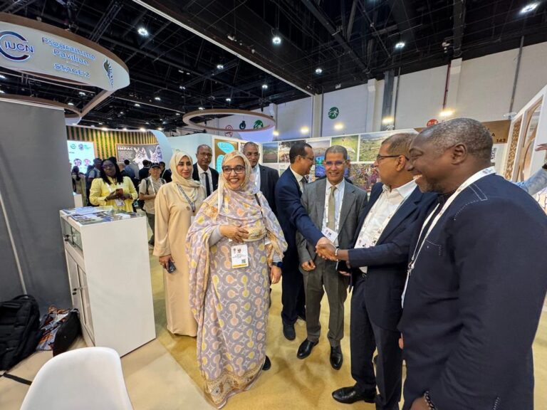 WhatsApp Image 2025-10-12 at 9.13