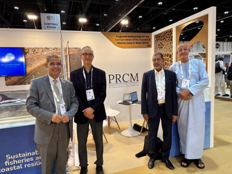 WhatsApp Image 2025-10-12 at 9.14