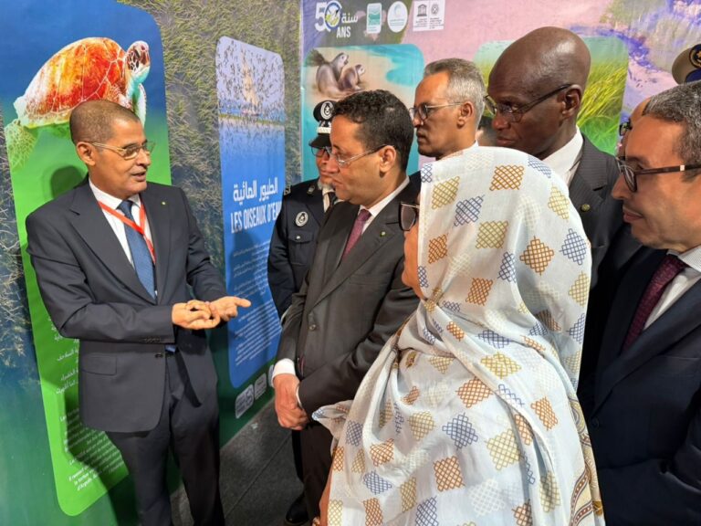 38abef31-c76f-49d0-83af-c0d5dac2c343